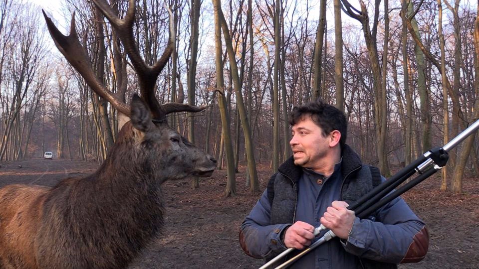 Une forêt et des hommes