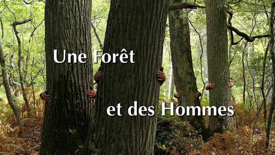 Une forêt et des hommes - Photo n°2
