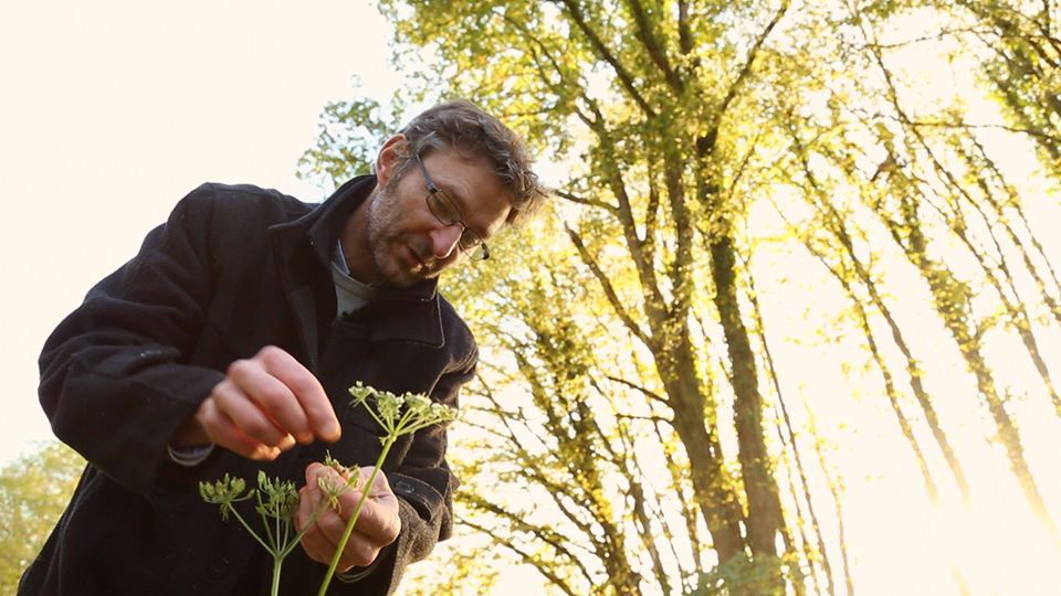 Une forêt et des hommes - Photo n°3