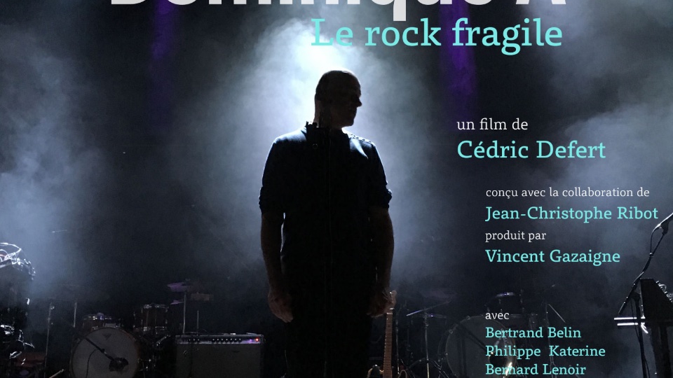 Dominique A - Le rock fragile - Photo n°1
