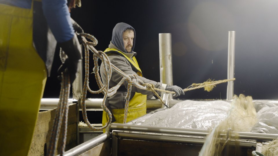 Le salaire de la mer