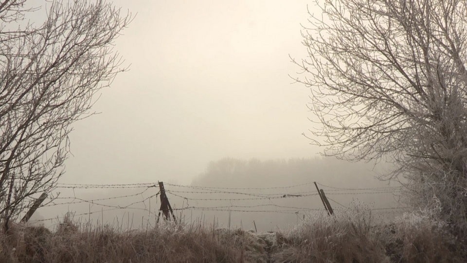 L'autre chemin des dames - Photo n°2