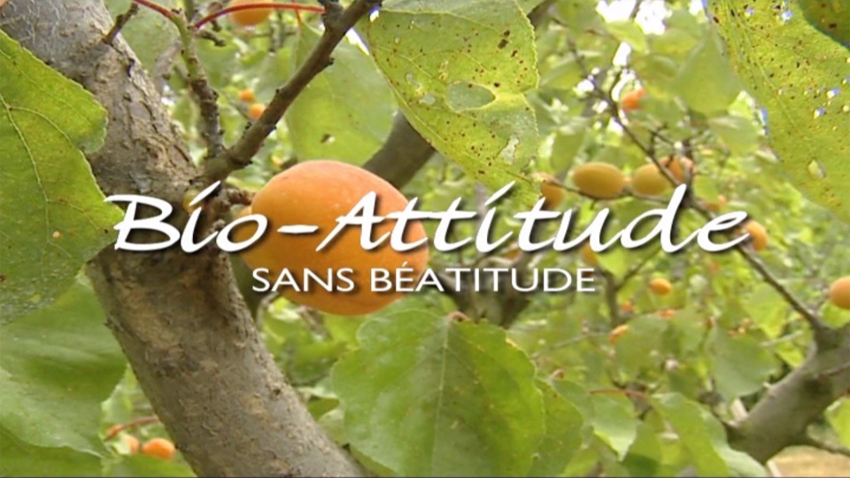 Bio-attitude sans béatitude