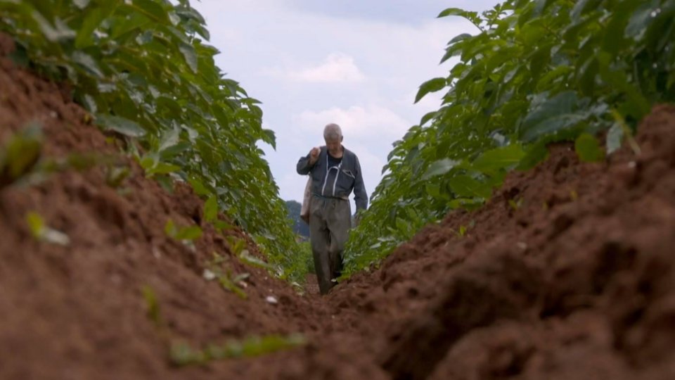 Diffusion TV du documentaire "L'échappée"